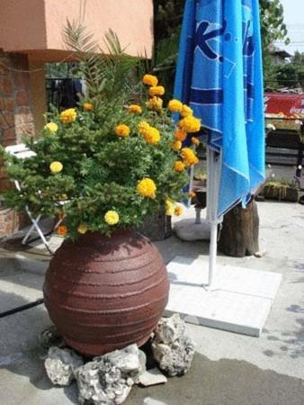 Mavrikova Kushta Hotel Bansko Exterior foto